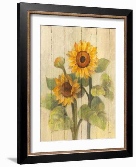 Summer Sunflowers II on Barnboard-Albena Hristova-Framed Art Print