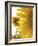 Summer Sunflowers in Tuscany, Italy-Michele Molinari-Framed Photographic Print