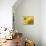 Summer Sunflowers in Tuscany, Italy-Michele Molinari-Mounted Photographic Print displayed on a wall