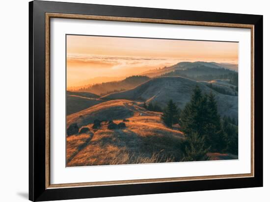 Summer Sunset at Ridgecrest Mount Tamalpais, Northern California-Vincent James-Framed Photographic Print