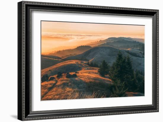 Summer Sunset at Ridgecrest Mount Tamalpais, Northern California-Vincent James-Framed Photographic Print