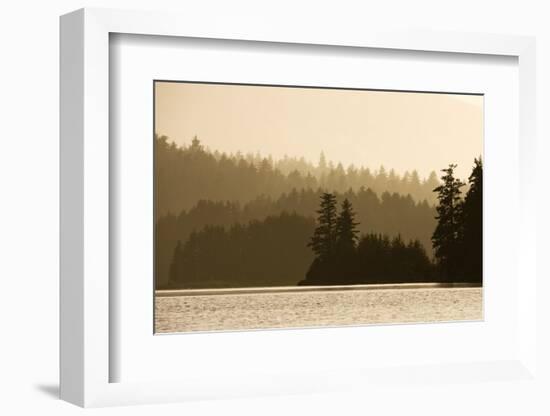 Summer Sunset Lights Rainforest Along Afognak Bay-Paul Souders-Framed Photographic Print