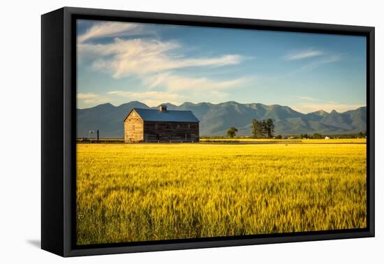 Summer Sunset with an Old Barn and a Rye Field in Rural Montana with Rocky Mountains in the Backgro-Nick Fox-Framed Premier Image Canvas