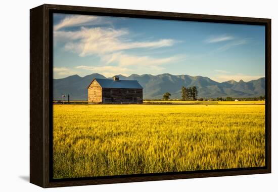 Summer Sunset with an Old Barn and a Rye Field in Rural Montana with Rocky Mountains in the Backgro-Nick Fox-Framed Premier Image Canvas