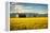 Summer Sunset with an Old Barn and a Rye Field in Rural Montana with Rocky Mountains in the Backgro-Nick Fox-Framed Premier Image Canvas