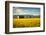 Summer Sunset with an Old Barn and a Rye Field in Rural Montana with Rocky Mountains in the Backgro-Nick Fox-Framed Photographic Print