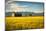 Summer Sunset with an Old Barn and a Rye Field in Rural Montana with Rocky Mountains in the Backgro-Nick Fox-Mounted Photographic Print