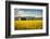 Summer Sunset with an Old Barn and a Rye Field in Rural Montana with Rocky Mountains in the Backgro-Nick Fox-Framed Photographic Print