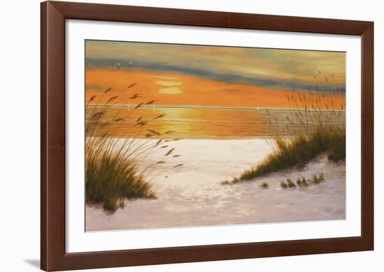 Summer Sunset-Diane Romanello-Framed Art Print