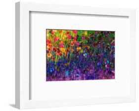 Summer Sweetness-Claire Westwood-Framed Art Print