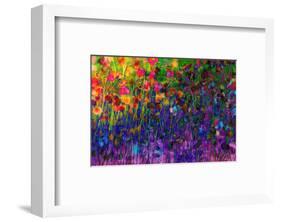 Summer Sweetness-Claire Westwood-Framed Art Print