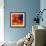 Summer Table-Peter Graham-Framed Giclee Print displayed on a wall