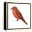 Summer Tanager (Piranga Rubra), Birds-Encyclopaedia Britannica-Framed Stretched Canvas