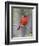 Summer Tanager, Texas, USA-Larry Ditto-Framed Photographic Print