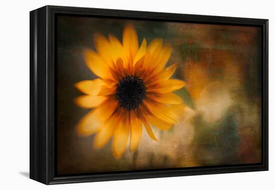 Summer Time-Ursula Abresch-Framed Premier Image Canvas