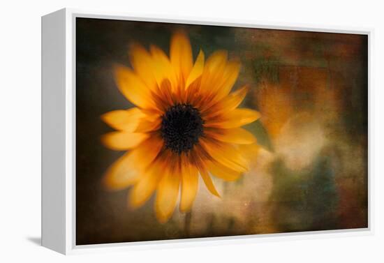 Summer Time-Ursula Abresch-Framed Premier Image Canvas