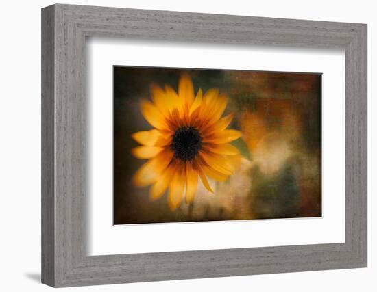 Summer Time-Ursula Abresch-Framed Photographic Print