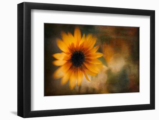 Summer Time-Ursula Abresch-Framed Photographic Print