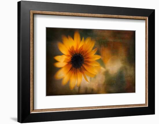 Summer Time-Ursula Abresch-Framed Photographic Print