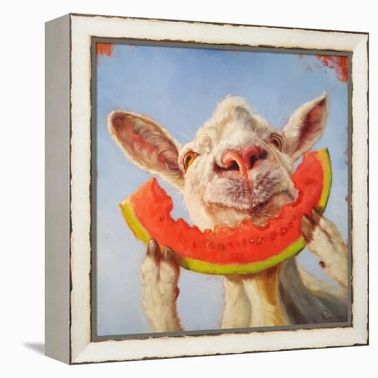 Summer Treat-Lucia Heffernan-Framed Stretched Canvas