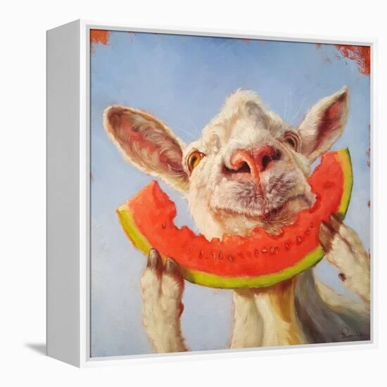 Summer Treat-Lucia Heffernan-Framed Stretched Canvas