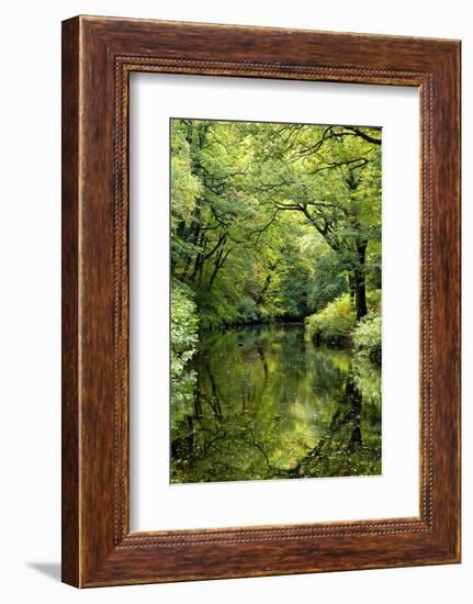 Summer trees reflected in River Teign, Dartmoor NP, Devon, UK-Ross Hoddinott-Framed Photographic Print