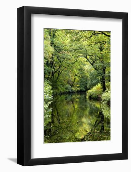 Summer trees reflected in River Teign, Dartmoor NP, Devon, UK-Ross Hoddinott-Framed Photographic Print
