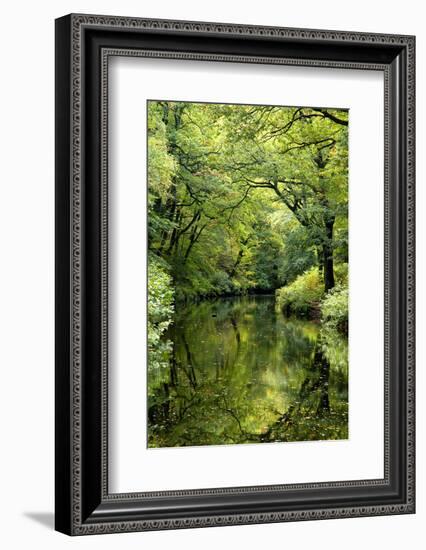 Summer trees reflected in River Teign, Dartmoor NP, Devon, UK-Ross Hoddinott-Framed Photographic Print