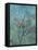 Summer Triclinium: Garden Paintings, 20, 1st Century, Mural-null-Framed Premier Image Canvas