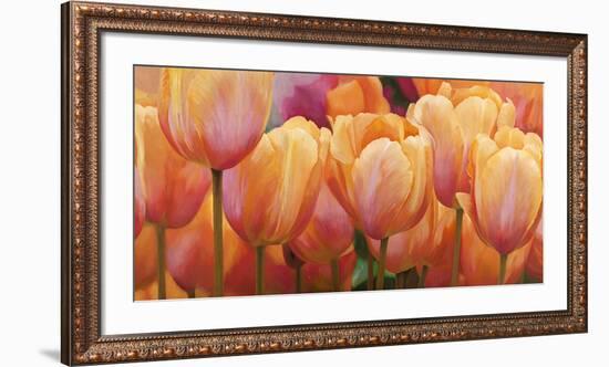 Summer Tulips-Luca Villa-Framed Art Print