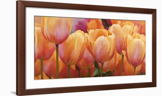 Summer Tulips-Luca Villa-Framed Art Print