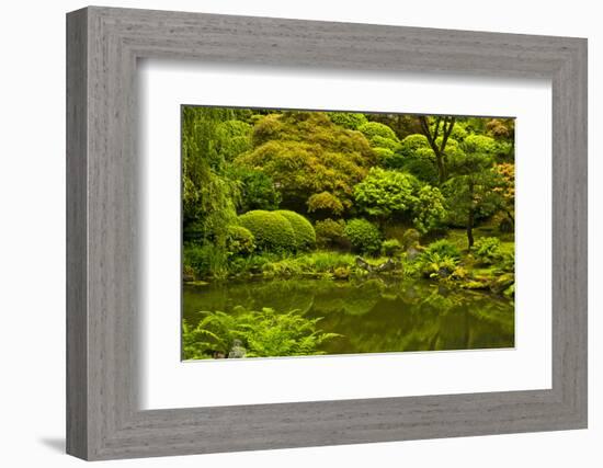 Summer, Upper Pond, Strolling Garden, Portland, Oregon, USA-Michel Hersen-Framed Photographic Print