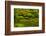 Summer, Upper Pond, Strolling Garden, Portland, Oregon, USA-Michel Hersen-Framed Photographic Print