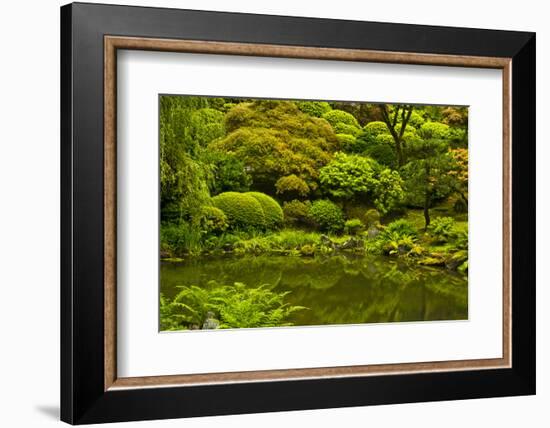 Summer, Upper Pond, Strolling Garden, Portland, Oregon, USA-Michel Hersen-Framed Photographic Print