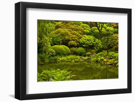 Summer, Upper Pond, Strolling Garden, Portland, Oregon, USA-Michel Hersen-Framed Photographic Print