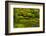 Summer, Upper Pond, Strolling Garden, Portland, Oregon, USA-Michel Hersen-Framed Photographic Print