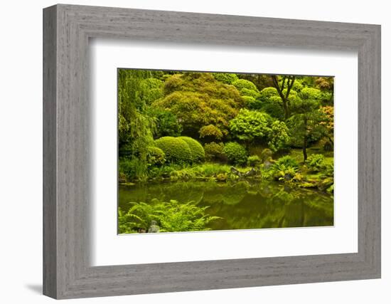 Summer, Upper Pond, Strolling Garden, Portland, Oregon, USA-Michel Hersen-Framed Premium Photographic Print