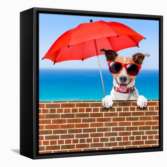 Summer Vacation Dog-Javier Brosch-Framed Premier Image Canvas