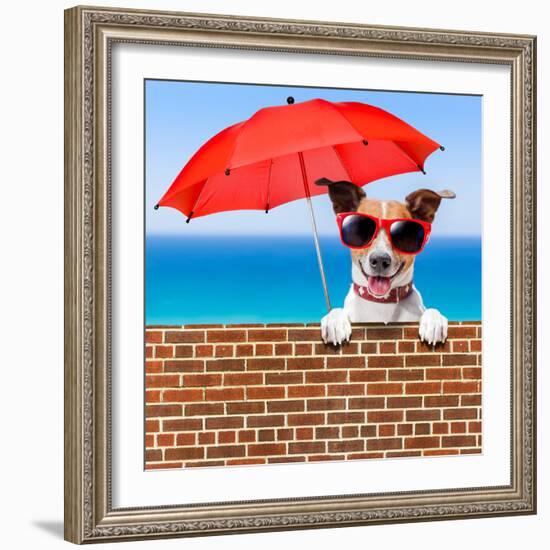 Summer Vacation Dog-Javier Brosch-Framed Photographic Print