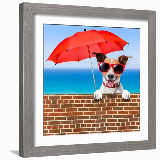 Summer Vacation Dog-Javier Brosch-Framed Photographic Print