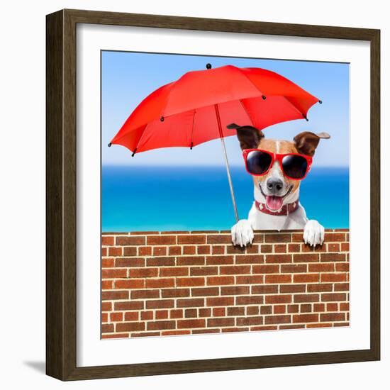 Summer Vacation Dog-Javier Brosch-Framed Photographic Print