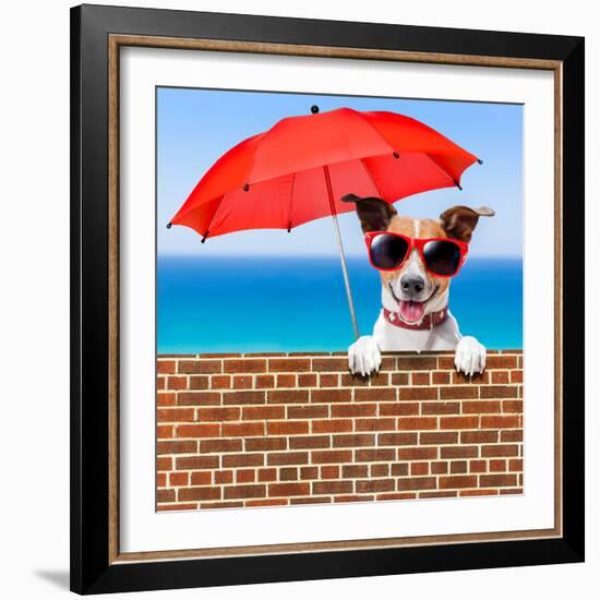 Summer Vacation Dog-Javier Brosch-Framed Photographic Print