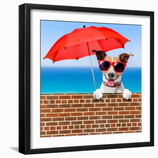 Summer Vacation Dog-Javier Brosch-Framed Photographic Print