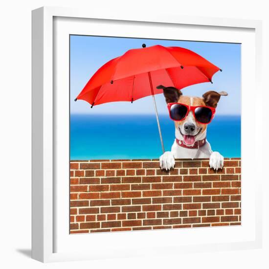 Summer Vacation Dog-Javier Brosch-Framed Photographic Print