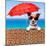 Summer Vacation Dog-Javier Brosch-Mounted Photographic Print