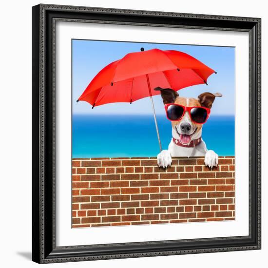 Summer Vacation Dog-Javier Brosch-Framed Photographic Print