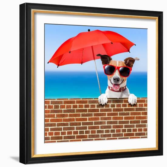 Summer Vacation Dog-Javier Brosch-Framed Photographic Print