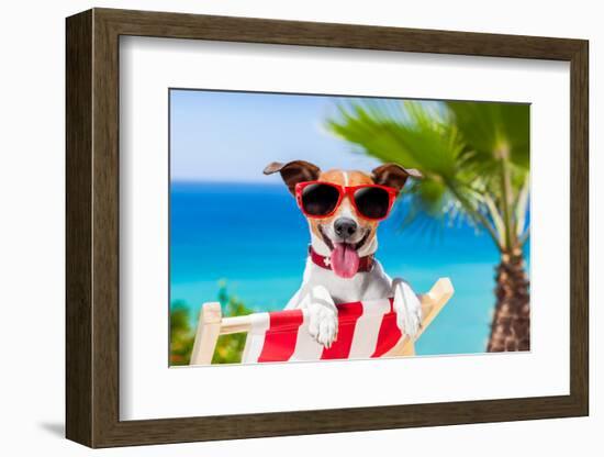 Summer Vacation Dog-Javier Brosch-Framed Photographic Print