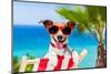 Summer Vacation Dog-Javier Brosch-Mounted Photographic Print
