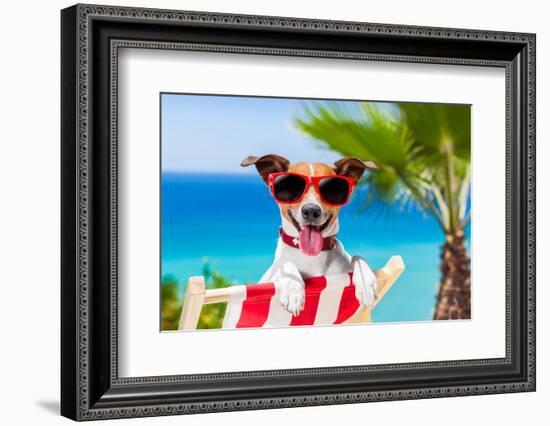 Summer Vacation Dog-Javier Brosch-Framed Photographic Print